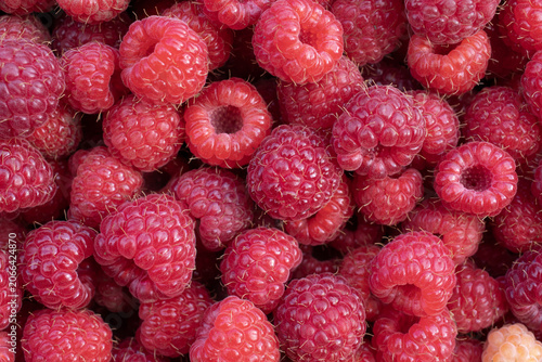 Photos Fresh red raspberries texture background with ripe berries and natural summer ha