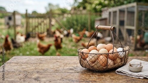 Fresh Eggs on Wooden Table with Blurred Chicken Farm Background