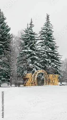 New year decorations outdoor