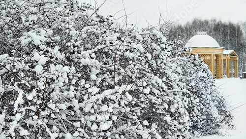 Snowy winter park