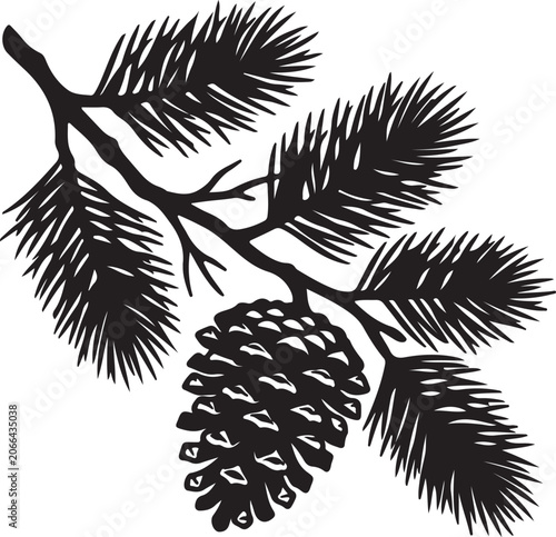 Black and white silhouette of a pine tree branch with a single pinecone illustration coniferous evergreen silhouette botanical