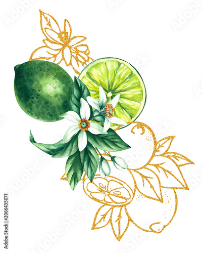 Lime bouquet. Watercolor hand-drawn citrus tropical fruit. Lime hand-painted illustration. Botanical lime fruit for wedding invitations, festivals, or postcards.
