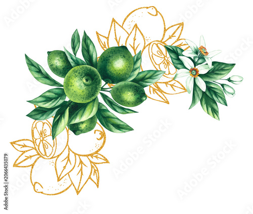 Lime bouquet. Watercolor hand-drawn citrus tropical fruit. Lime hand-painted illustration. Botanical lime fruit for wedding invitations, festivals, or postcards.
