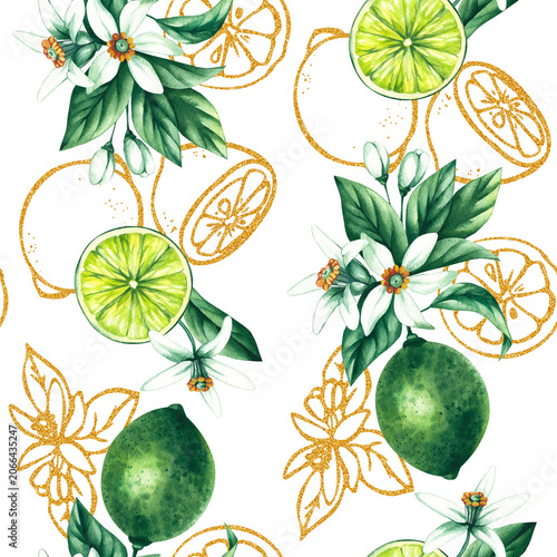 Lime seamless pattern. Watercolor hand-drawn citrus tropical fruit. Lime hand-painted illustration. Botanical lime fruit for wedding invitations, festivals, or postcards.