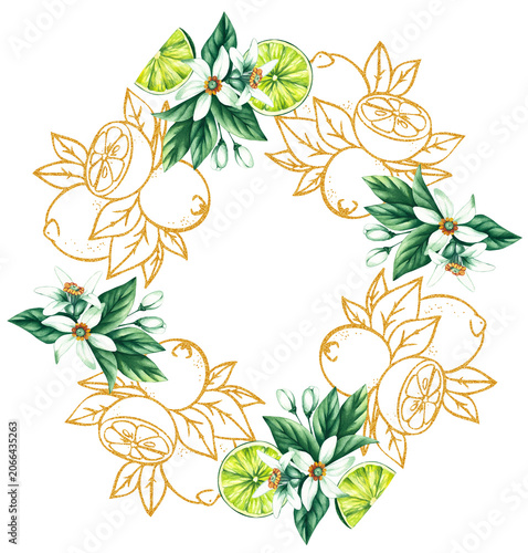 Lime wreath. Watercolor hand-drawn citrus tropical fruit. Lime hand-painted illustration. Botanical lime fruit for wedding invitations, festivals, or postcards.
