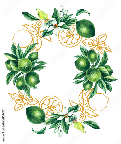 Lime wreath. Watercolor hand-drawn citrus tropical fruit. Lime hand-painted illustration. Botanical lime fruit for wedding invitations, festivals, or postcards.