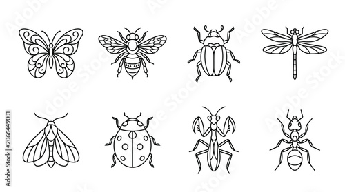 Insects and bugs line drawings.