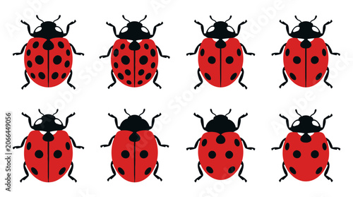 Seven red ladybugs with black spots 2.