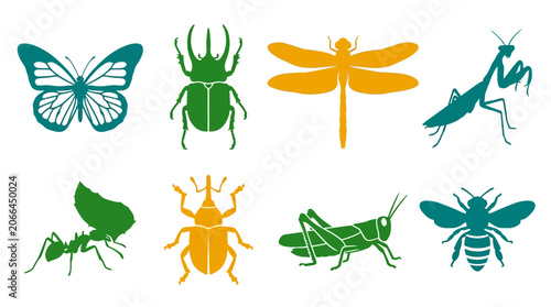 Insects icons set colorful graphic design.