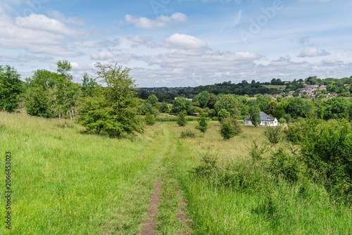 Path In The Field
