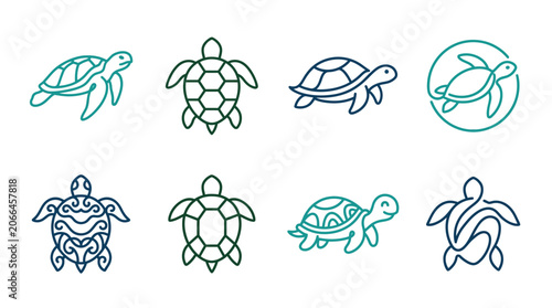 Photography Turtles in various poses and outlines.