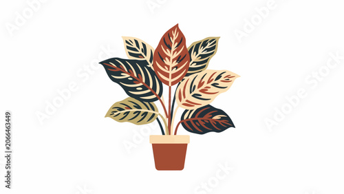 Colorful potted plant with decorative leaves.