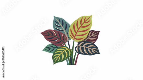 Colorful illustration of assorted leaves.