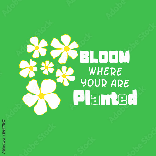 Hand Drawn Yellow Flower Doodle Line Art Set, Botanical Illustration