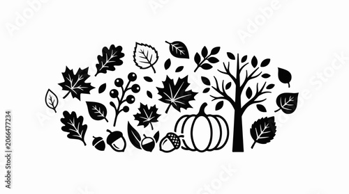 A black-and-white illustration of various leaves, acorns, and a pumpkin