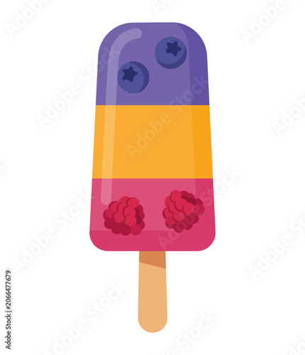 Colorful Berry Popsicle Ice Cream Vector Illustration