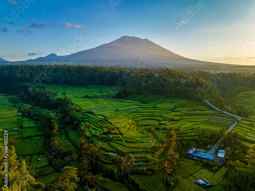 Tableau sur toile Green rice terraces with volcanic mountain during golden hour in Indonesia