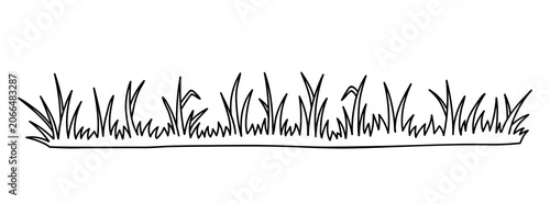 Grass isolated on a white background. Vector hand-drawn illustration in doodle style. Perfect for nature, spring, landscape, and outdoor design elements