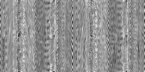 Obraz na plátně Wavy stripes pattern in black and white optical illusion style