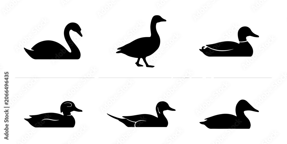 Fototapeta premium Bird icon set featuring swan, goose, and duck outline, solid and color styles on white background