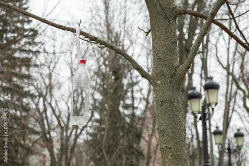Foto A transparent plastic bottle hangs tied to a leafless tree branch in a public pa