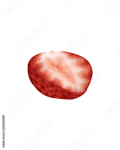 Hand painted watercolor strawberry slice isolated. for food packaging, menu design, recipe books, organic branding, kitchen decor, surface pattern design, textile prints, stationery, and botanical 