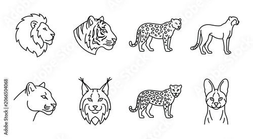 Canvas Print 8 Big Cats linear icon set lion tiger leopard cheetah, UI and web interface desi