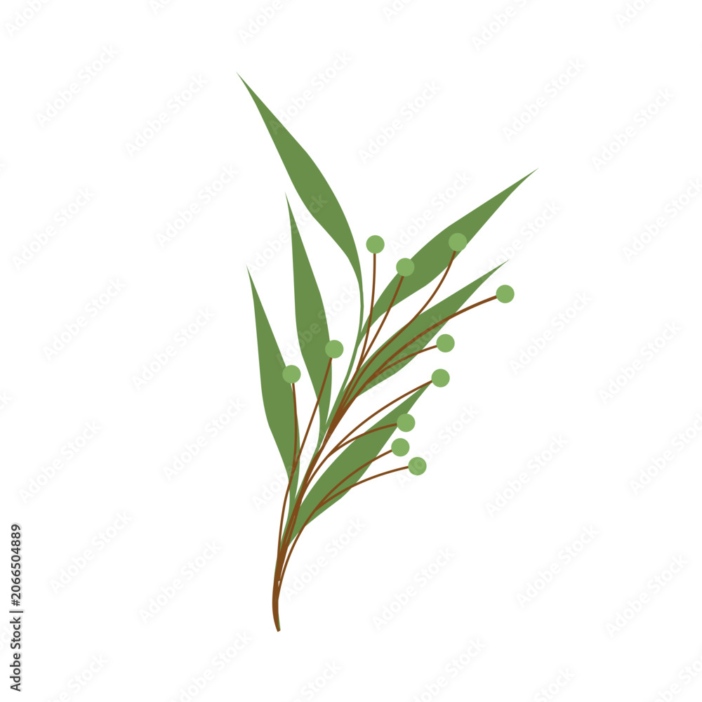 Fototapeta premium Minimalist leaf vector. Minimalist green leaf illustration. Green leaf flat design. Minimalist leaf element. Botanical leaf vector illustration. Simple leaf illustration 
