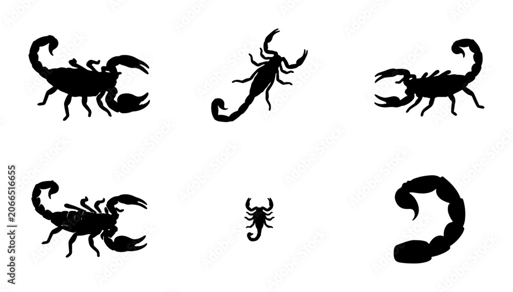 Fototapeta premium Scorpion silhouettes icon set, flat, for wildlife and danger concepts