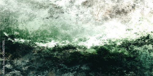 Obraz na plátne Abstract texture with mottled green, grey, and white hues evokes natural patterns, perhaps reminiscent of weathered stone or verdant moss
