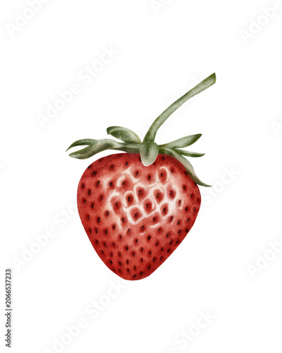Hand painted watercolor strawberry isolated. for packaging design, food branding, labels, menus, recipe books, kitchen decor, stationery, and organic product marketing.
