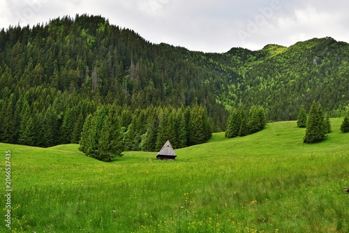 Holzhütte in der Tatra Gebirge, Polen