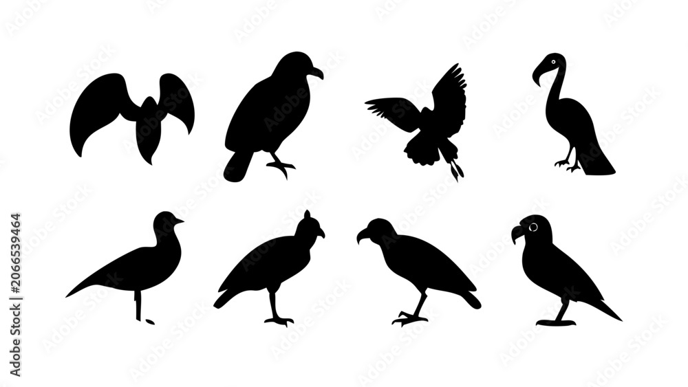 Fototapeta premium silhouettes of birds