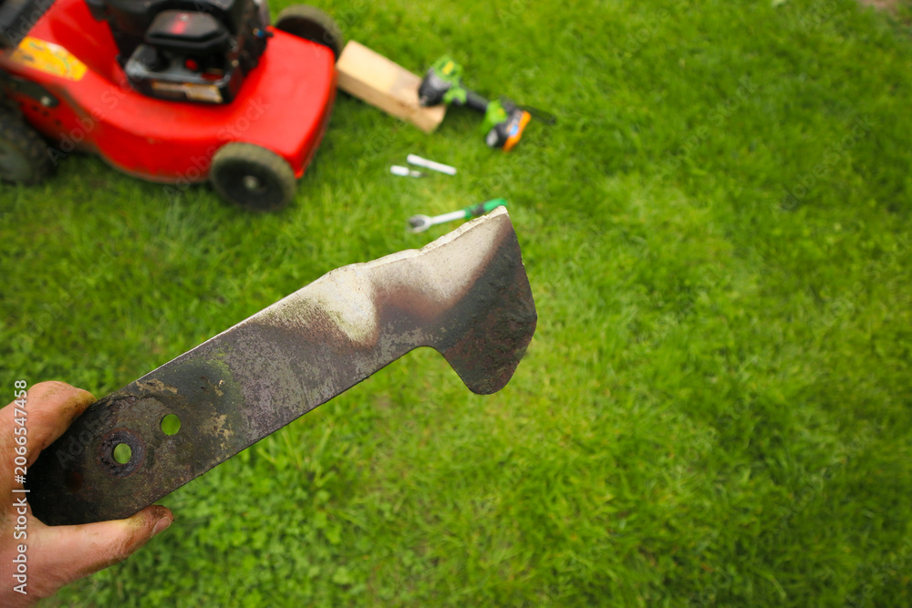 Fototapeta premium Man holding a worn dull lawn mower blade close up on a green grass background