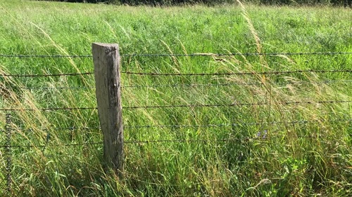 Wooden fence pole and wire at a pasture and green grass meadow moving gently in the wind on a sunny day in Westerwald Germany Europe slow motion video