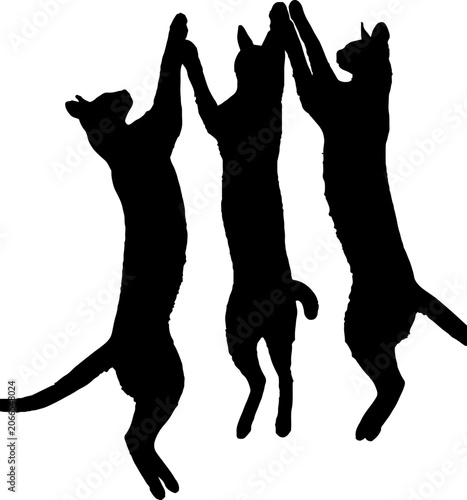 Three black cat silhouettes jumping playfully together.