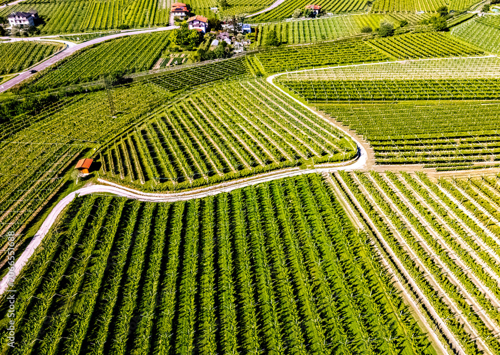 Fototapeta premium Agricultural landscape near the town of Dro in Trentino, Italy