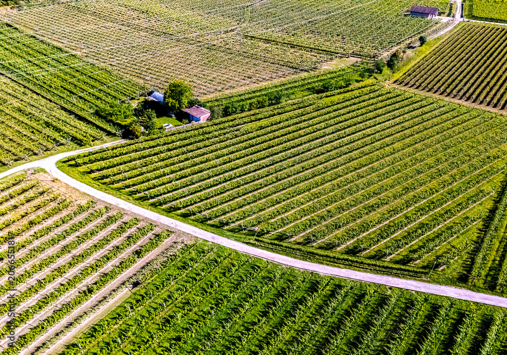 Fototapeta premium Agricultural landscape near the town of Dro in Trentino, Italy