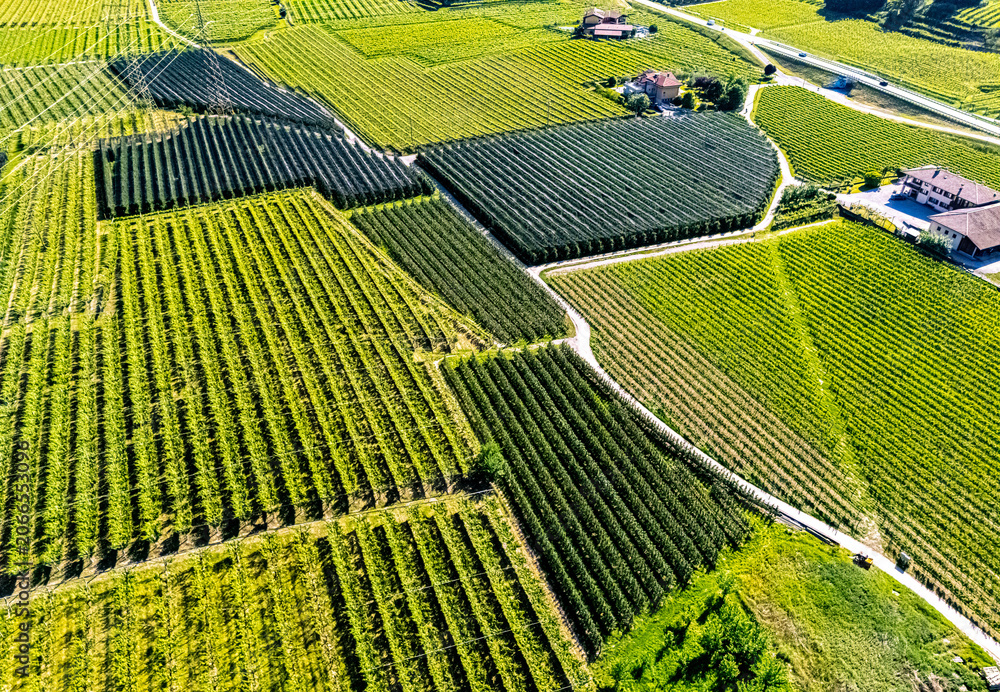 Fototapeta premium Agricultural landscape near the town of Dro in Trentino, Italy