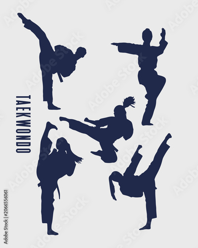 Martial Arts Fighter Silhouettes Set