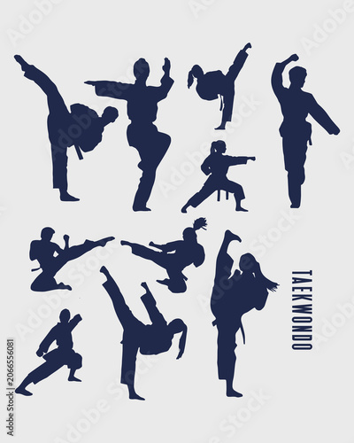 Martial Arts Fighter Silhouettes Set
