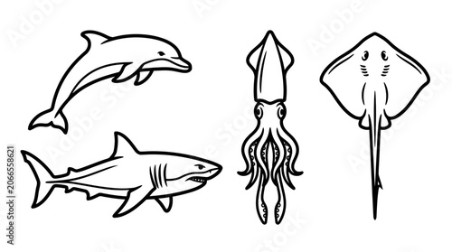 Oceanic Wildlife Collection: Dolphin, Shark, Squid, and Ray Illustrations