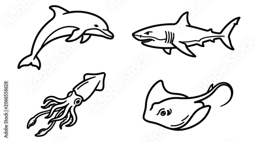 Dolphin, Shark, Squid, and Stingray Line Art Illustrations