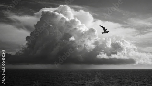 Dramatic Black and White Seagull Soaring Above Stormy Ocean Clouds.