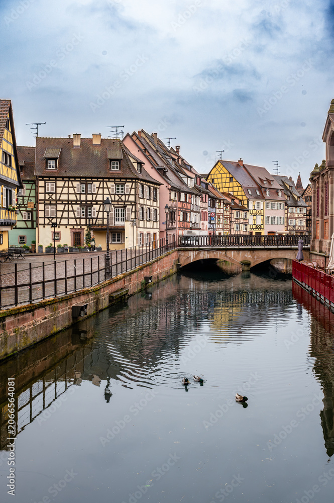 Obraz premium Early calm on Colmar canal with soft light, empty walkway and mirrored facades, ducks gliding through still water adding peaceful travel