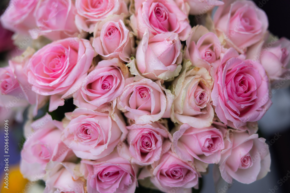 Fototapeta premium Pink roses bouquet featuring multiple blooms with soft petals and green foliage, arranged beautifully for decoration or gifting purposes