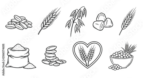 Tableau sur toile Set of hand drawn agricultural cereal grain icons including wheat ears oat stalks barley seeds and flour sack isolated on white for healthy organic design