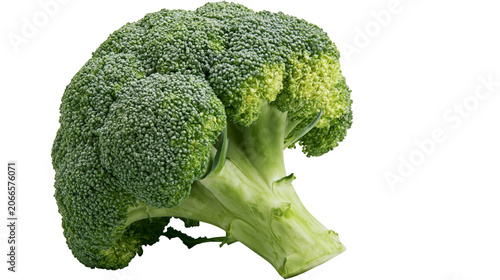 Konstfotografi Fresh green broccoli head with thick stem