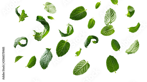Bild auf Leinwand Scattered fresh green mint leaves in motion