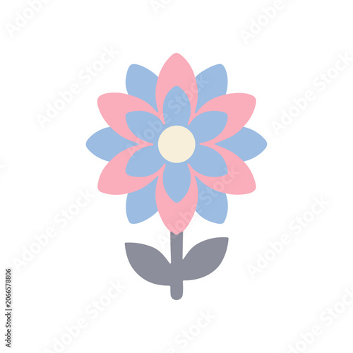 Colorful flower with pink petals.